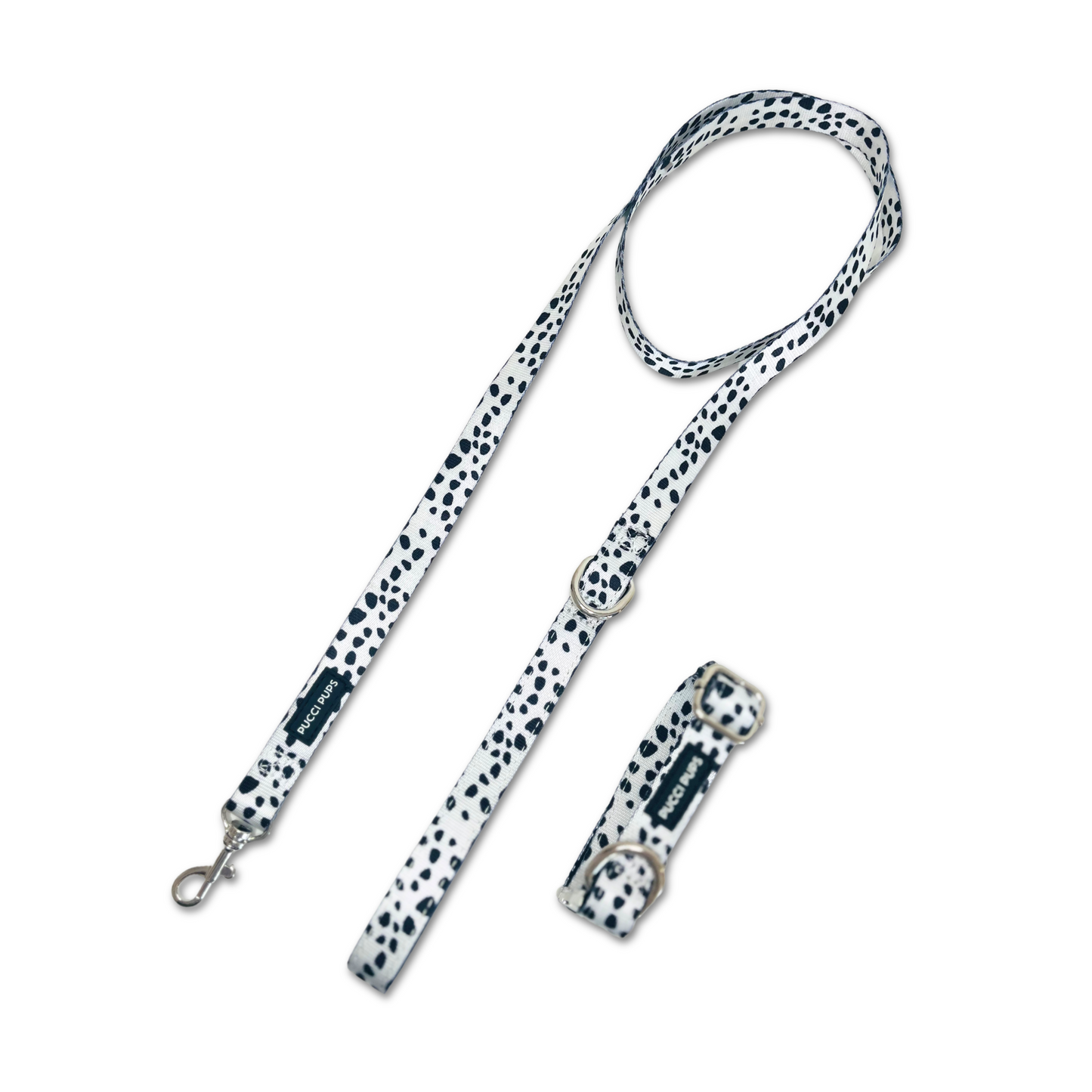 Dog Collar & Lead Bundle
