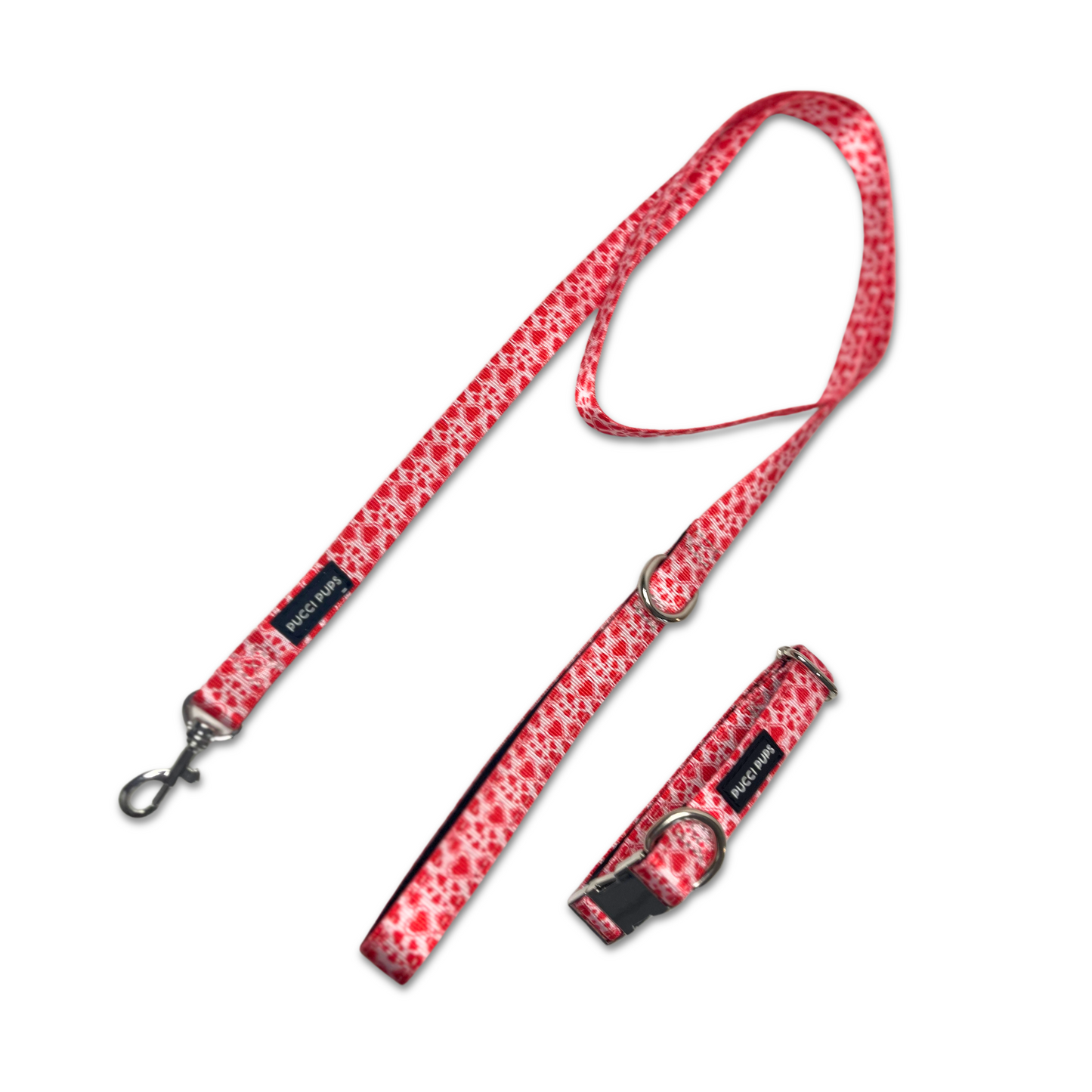Dog Collar & Lead Bundle