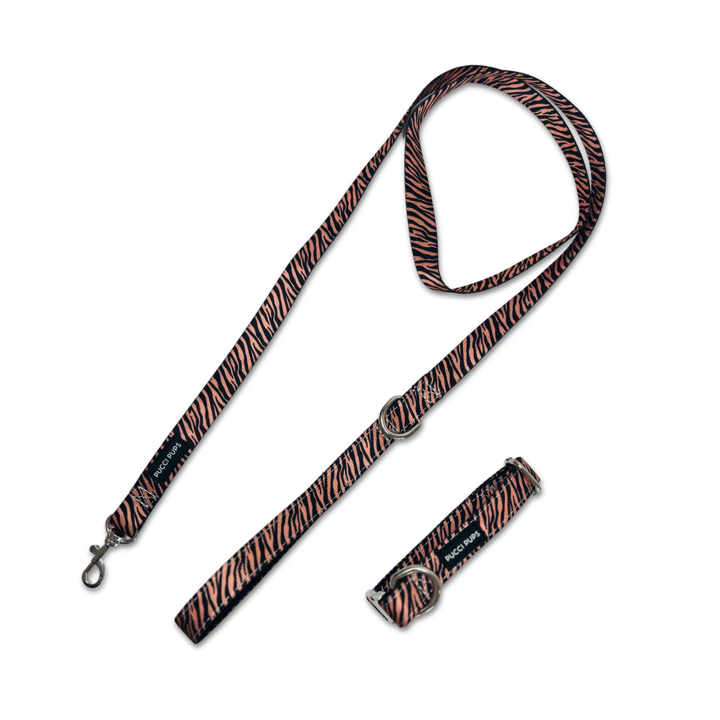 Dog Collar & Lead Bundle