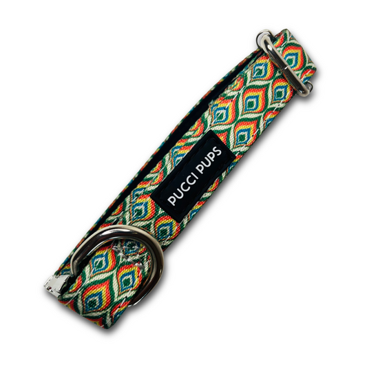 Dog Walking Collar – Peacock