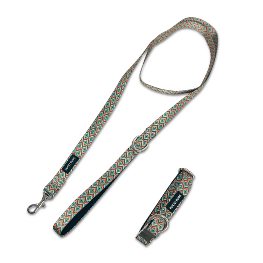 Dog Walking Collar & Lead Set – Peacock