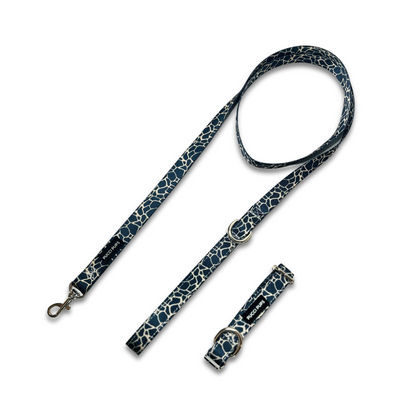 Dog Walking Collar & Lead Set – Giraffe