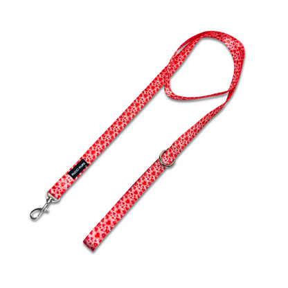 Dog Walking Lead – Heart