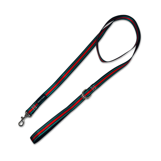 Dog Walking Lead – Stripe